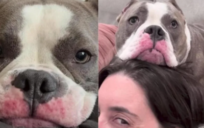 He Once Knew What It Meant to Be Left Behind. Now He Can’t Stop Showing His Gratitude