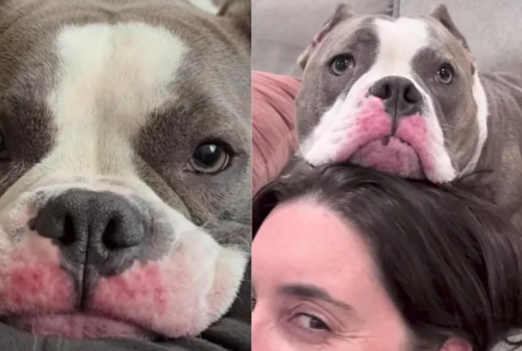 He Once Knew What It Meant to Be Left Behind. Now He Can’t Stop Showing His Gratitude